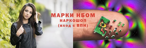 стаф Вязьма