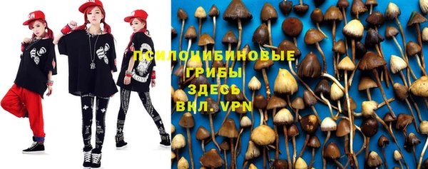 стаф Вязьма