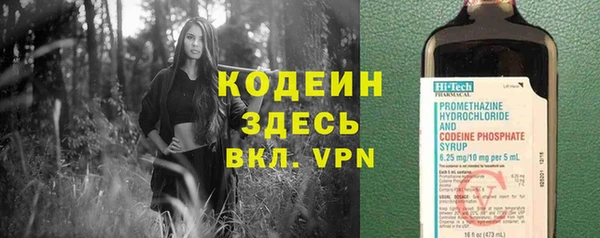 стаф Вязьма