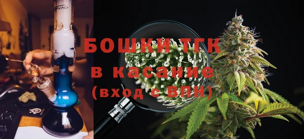 стаф Вязьма