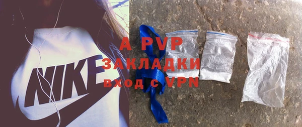 стаф Вязьма