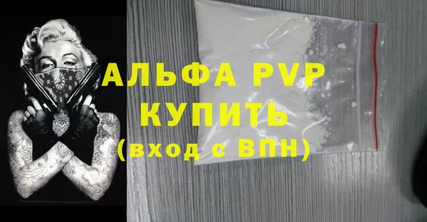 стаф Вязьма