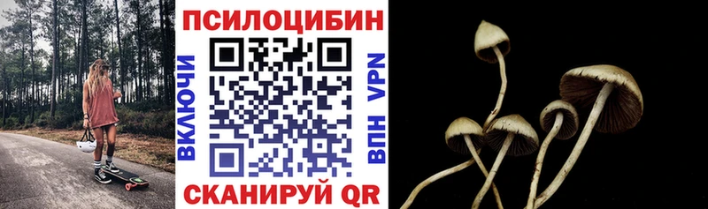 Псилоцибиновые грибы мицелий где купить наркотик даркнет наркотические препараты Гаджиево kraken как войти